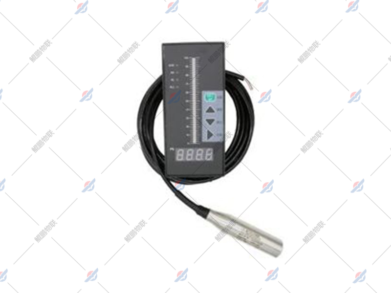 投入式水浸传感器 投入式水浸传感器